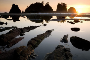 高芙与xxx的对决，究竟谁能笑到最后看点十足！